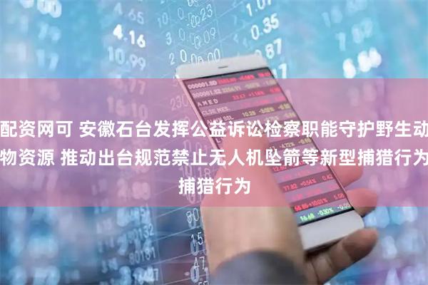 配资网可 安徽石台发挥公益诉讼检察职能守护野生动物资源 推动出台规范禁止无人机坠箭等新型捕猎行为