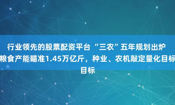 行业领先的股票配资平台 “三农”五年规划出炉 粮食产能瞄准1.45万亿斤，种业、农机敲定量化目标