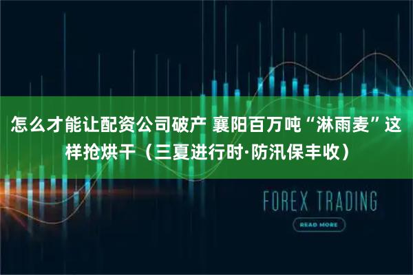 怎么才能让配资公司破产 襄阳百万吨“淋雨麦”这样抢烘干（三夏进行时·防汛保丰收）